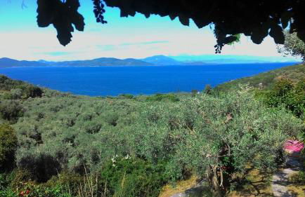 Studio south Pilion - Foto 1