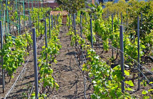 Casa Victor - Foto 13