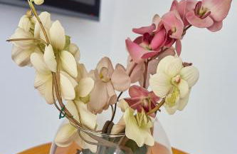 Casa 4 min Centro, UFU, UMC, Camaru c Ar condicionado - Foto 13