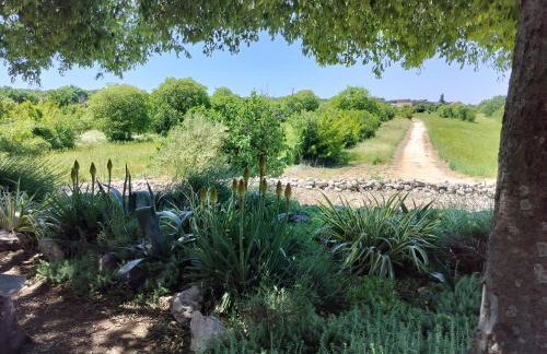 Prominska Bajka - Foto 23