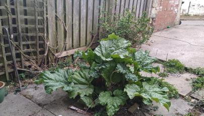 Queens Castle - Foto 2