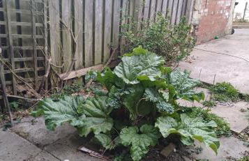 Queens Castle - Foto 2