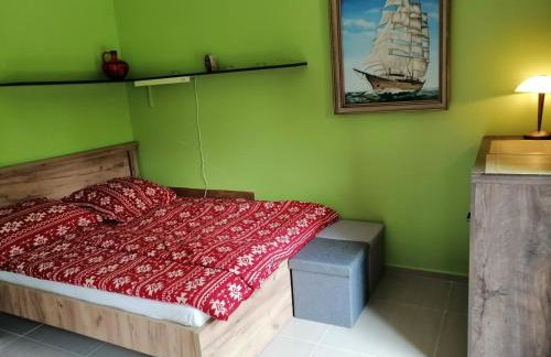 Leśna Wisełka - Foto 12