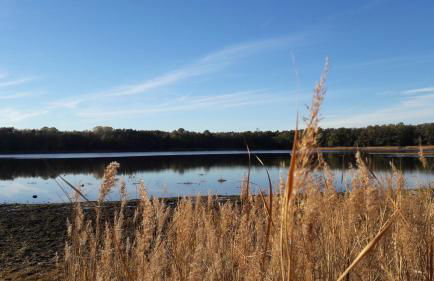 Fewo Abendsonne - Foto 41