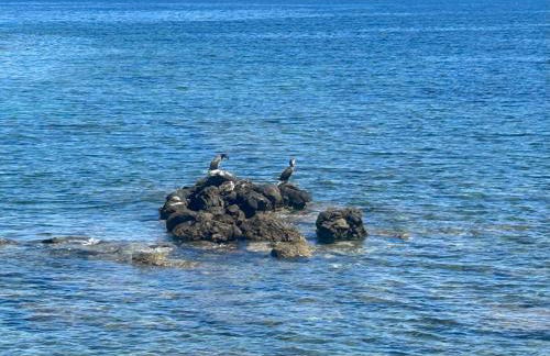 Lucrezio Houses - Foto 32