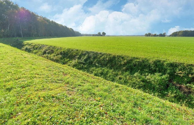 Chalet in the Woods With Pool - Photo 34