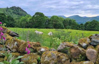 Swallows Lodge - Foto 28