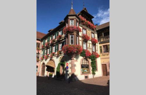 Coeur Alsace - Foto 46