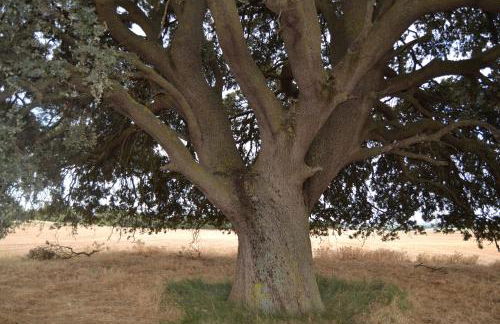 Las Casas de la Vega - Foto 60