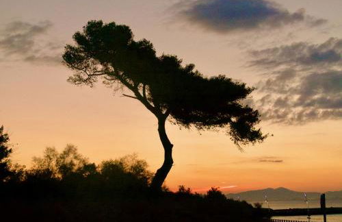 Appartement 60m2 - 2 Chambres à une minute des plages, parking privé - Foto 39