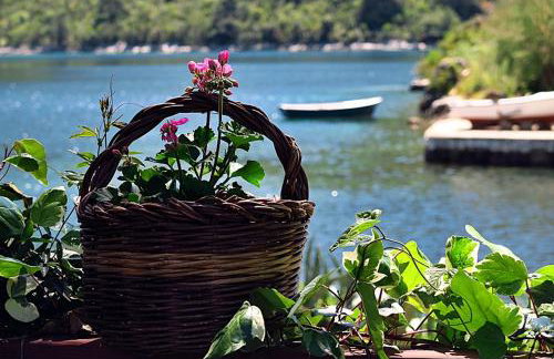 Apartments Vera - Foto 59