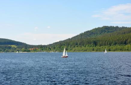 Abnoba Mons Design Apartment Lenzkirch - Photo 20