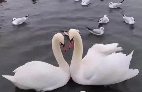 As Barxas Playa - Foto 36