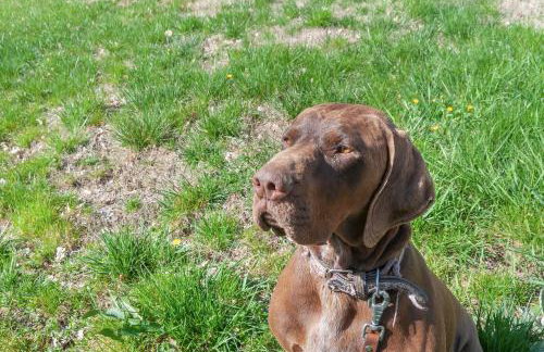 Rifugio sulla via di Volpaia - Photo 3