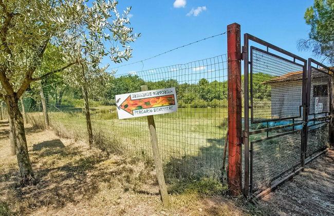 Apartment in Castiglione Near Lake Trasimeno - Foto 34