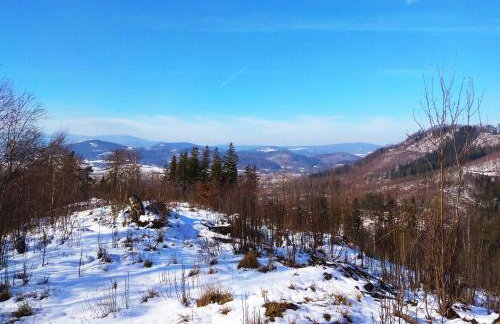 Pod klonem z Balią i Sauną - Foto 41