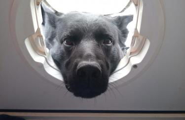 FeWo-AdOlTi - Foto 25