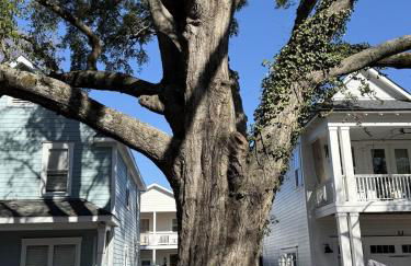 Under the Oaks, A Downtown Hidden Gem - Foto 6