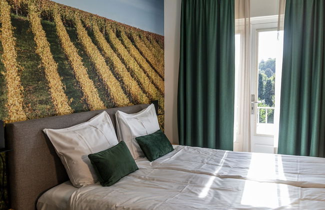 Dormio Wijnhotel Valkenburg - Photo 26