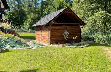 Apartament Franio - Photo 45