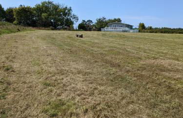 3 Bed in Dinas oc-lazyno - Photo 43