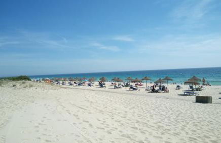 Monte Girassol - The Lisbon Country House - Foto 6