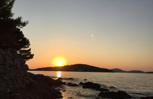 Apartmani Misic - Foto 41