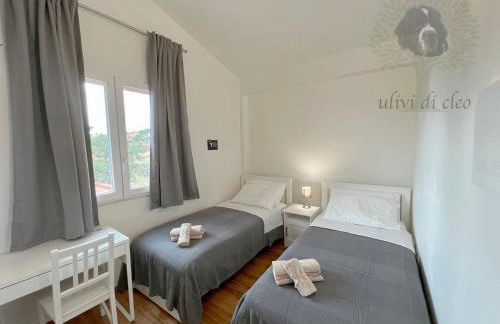 Ulivi di Cleo - Foto 28