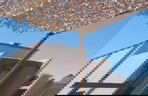 Olivos de Monte - Foto 64