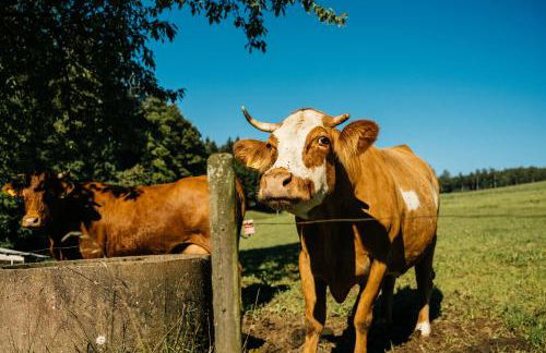 Baschijörgenhof - Foto 11