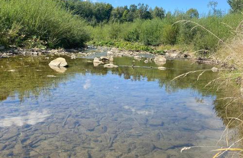 Kasi Polany - Foto 9