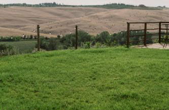 Borgo Belsedere - biofarm estate resort in Tuscany - Foto 20