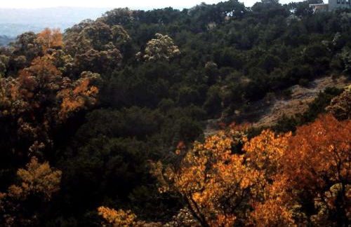 Pet-Friendly Cabin Rental for Two in Pipe Creek, Texas - Foto 16