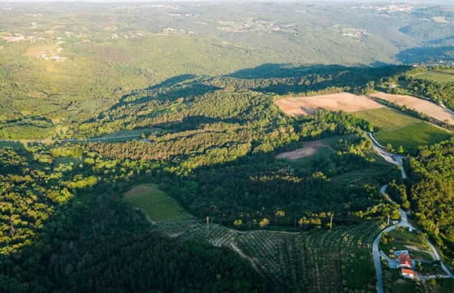 Modern Villa With Swimming Pool and Garden - Photo 27