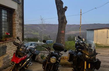 La corte dei celti 5 - Foto 28