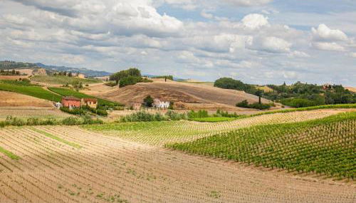 Idyllic Farmhouse in Gambassi Terme-fi With Swimming Pool - Foto 4