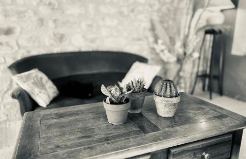 Domaine Plan des Devens - Foto 26