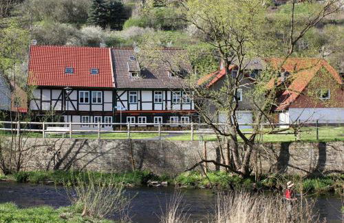 Ferienwohnungen mit Wellnessoase in Thale OT Altenbrak - Foto 43