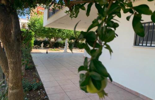 Best location in Vrachati - Photo 18