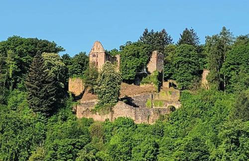 Fewo Waldtherme Relaxen, wandern, Radfahren - Foto 31