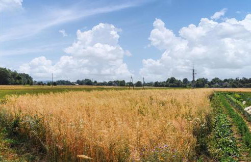 One-Bedroom Holiday Home In Biadoliny Szlachecki - Foto 9