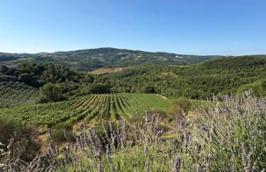 Agriturismo Fattoria di Monticello - Foto 20