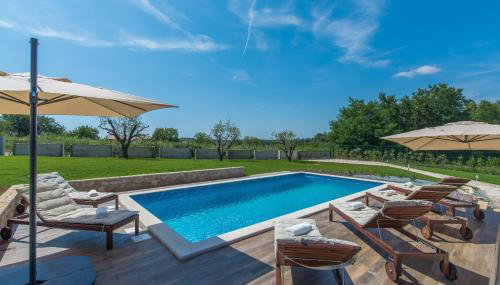 Terra - Foto 5, Other