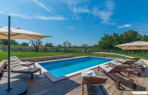 Complex Teca - Foto 33