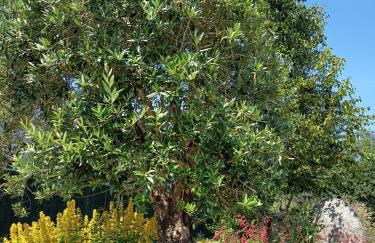 Spacieux Chalet en Bois Massif au coeur du Finistère - Foto 16