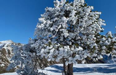 Apartamento con Encanto - Foto 19