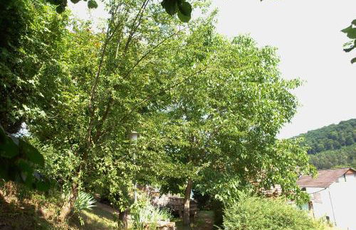 Haus Marta - Photo 44