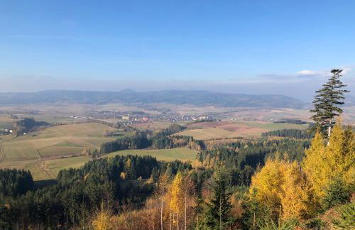 Chełmski Zakątek - Foto 2