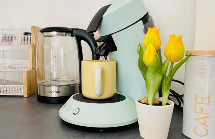 FeWoZauber - Dom Oase, Zentrum, Terrasse, Business, Familie, Haustiere - Foto 11