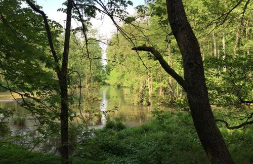 Waldläufer Brilon - Foto 56